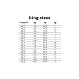 Zebra Siglet Ring
